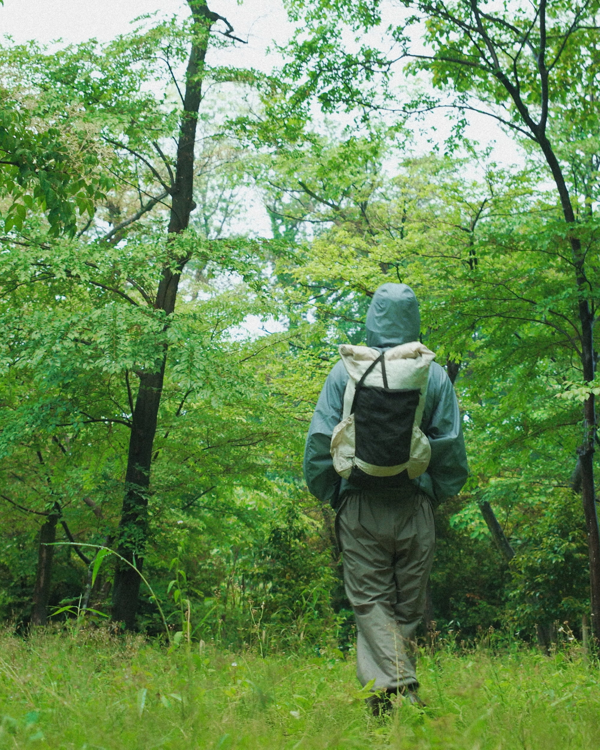 Moonlight Gear Equipment – MoonlightGearEquipment