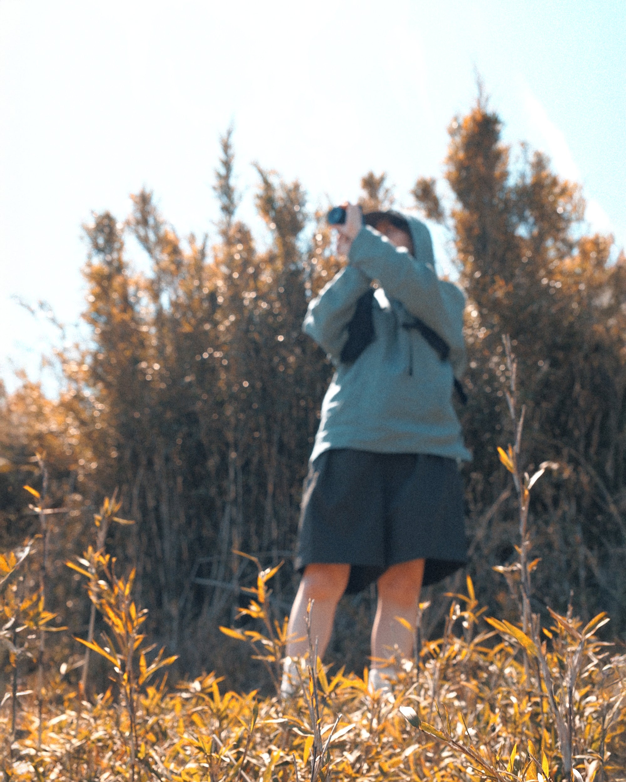 Take Shorts – MoonlightGearEquipment