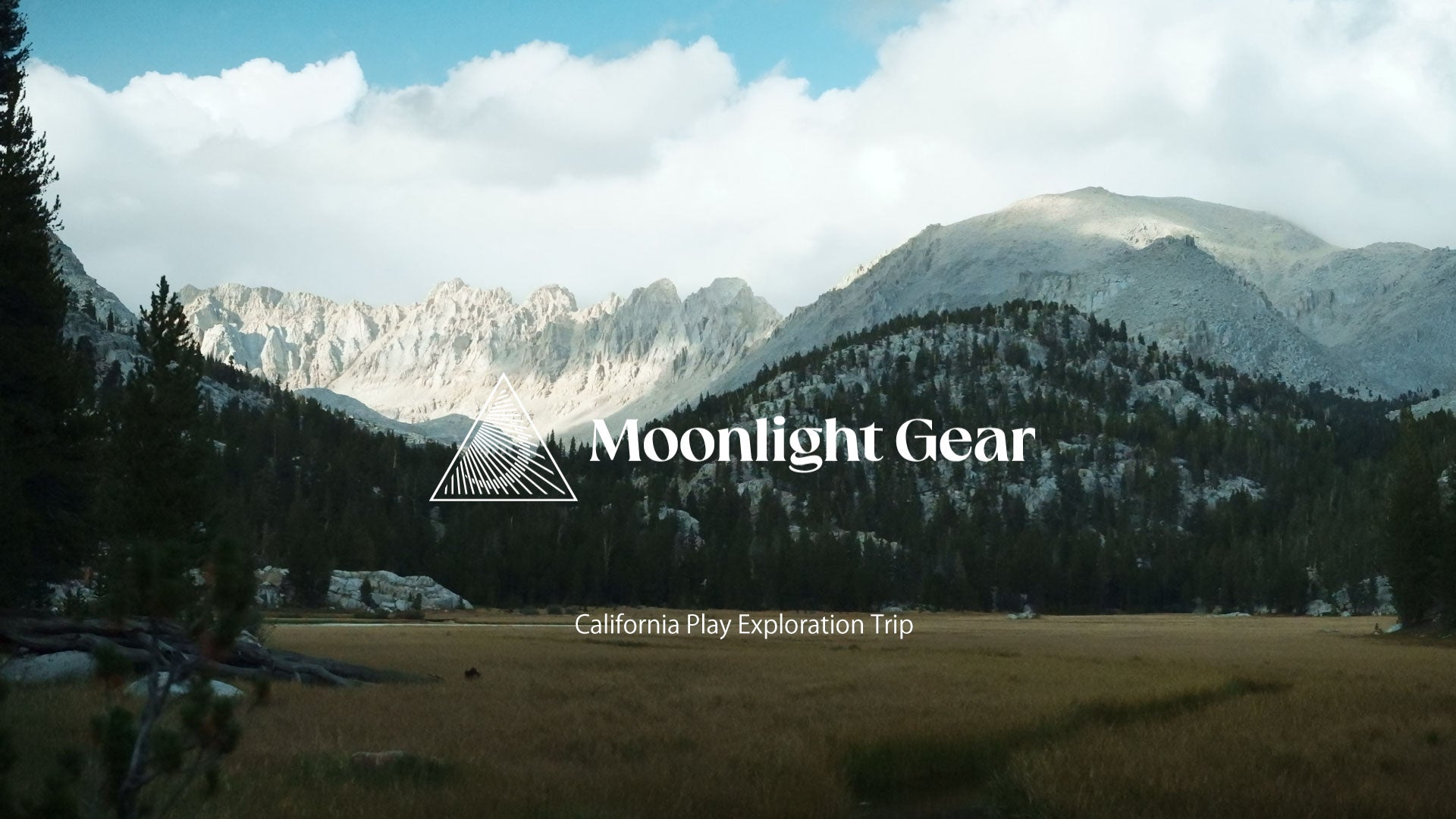 動画を読み込む: 